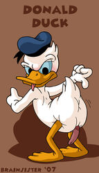 2007 brainsister disney donald_duck male_only penis tagme