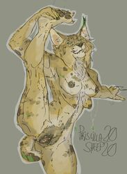 2020 4_breasts absurd_res anthro bobcat breasts dark_nipples felid feline female genitals green_eyes hi_res lynx mammal multi_breast nipples nude pawpads piercing presenting priscillasheep pussy solo stretching tongue tongue_out