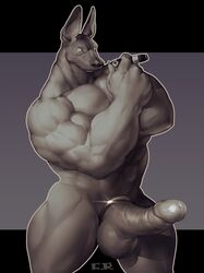 anthro balls canine cigar cock_ring crossed_arms crtm erection humanoid_penis looking_at_viewer male male_only mammal muscular muscular_male nude penis simple_background solo