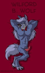 2007 animaniacs anthro brainsister character_name color fur furry lying male male_only nude on_back penis solo tagme wilford_wolf wolf