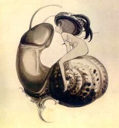 female male penis_body penis_crush penis_head snail tagme unusual_anatomy what