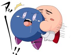 duo gay kirby kirby_(series) male/male meta_knight nintendo tagme yaranaika