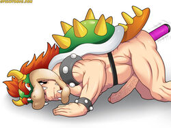 1boy all_fours anal anal_dildo anal_insertion armlet artist_request bara bowser bowser_(cosplay) bracelet closed_eyes cosplay dildo erection human male male_only mario_(series) nintendo penis solo white_background