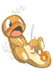 charmander color doneru fire male male_only nintendo penis pokémon_(species) pokemon pokemon_rgby solo tail tail_fire