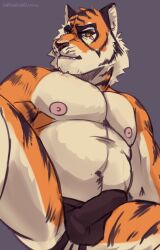 animal_humanoid anthro belly cat_humanoid clothed clothing epic_games felid felid_humanoid feline feline_humanoid fortnite humanoid jockstrap jockstrap_only male mammal mammal_humanoid oscar_(fortnite) pantherine slightly_chubby snow.hound solo stripes tiger topless underwear underwear_only