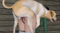 3d breeding canine doggy_style domestic_dog female_on_feral female_penetrated human_on_feral interspecies looking_pleasured penis pussy sex wyllscarlett zoophilia