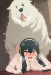 1dog 1girls ahe_gao ahegao ai_generated ass_up bestiality big_breasts black_hair blush bond_forger breasts canid canine canine_on_human completely_nude_female cum cum_dripping cum_inside doggy_style domestic_dog drooling embarrassed eyes_rolling_back face_down face_down_ass_up facedown_doggystyle female_on_feral feral feral_dominating_female feral_dominating_human feral_on_female feral_on_feral feral_on_human feral_penetrating feral_penetrating_human hairband heart huge_breasts human human_penetrated interspecies interspecies_sex long_hair looking_pleasured motion_lines nipples on_bed open_mouth red_eyes rolling_eyes sentinel_axis sex spy_x_family tagme thighs tongue_out white_fur yor_briar yor_forger zoophilia