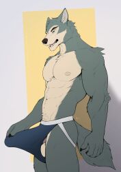 2025 abs anthro areola balls barazoku beastars biceps big_bulge big_muscles bulge canid canine canis claws clothed clothing erection erection_under_clothing eyebrows fullbodywolf fur genitals hi_res huge_bulge jockstrap jockstrap_only legoshi_(beastars) male mammal muscular muscular_anthro muscular_male navel nipples pecs simple_background smile solo standing teeth tenting topless topless_anthro topless_male tuft underwear underwear_only wolf