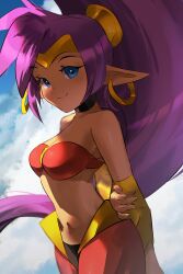 1girls arm_behind_back blue_eyes female female_only looking_at_viewer navel pachirisus pointy_ears ponytail purple_hair shantae shantae_(character) solo tagme wayforward