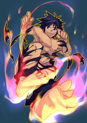 arad_senki dungeon_and_fighter dungeon_fighter_online male male_fighter male_only solo tagme