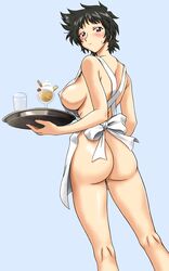 apron maggie_mui medium_breasts naked_apron read_or_die ta152_(graf_zeppelin) tagme