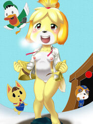 2d alternate_breast_size animal_crossing anthro artist_request booker_(animal_crossing) breasts isabelle_(animal_crossing) katie nintendo nipples office_lady pete_(animal_crossing) pussy source_request tagme year_request