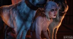 3d blendguardian breasts canid_on_humanoid canine_on_human ciri collar completely_nude female female_human green_eyes human male male/female male_canine nipples nude scar slave submissive the_witcher_(series) the_witcher_3:_wild_hunt white_hair wolf zoophilia