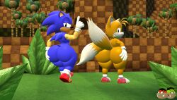 2boys 2males anthro ass ass_focus big_ass big_butt big_thighs bubble_ass bubble_butt classic_sonic classic_sonic_(universe) classic_tails femboy femboy_only fox furry hedgehog huge_ass huge_butt huge_thighs sega sonic_(series) sonic_the_hedgehog sonic_the_hedgehog_(series) sonic_the_hedgehog_2 tails thick_thighs