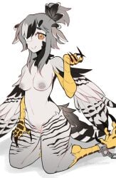 bird_legs bird_tail black_feathers blush breasts claws commentary cuffs english_commentary eyepatch feathered_wings feathers female grey_feathers grey_hair grey_wings hair_up harpy head_wings highres inverted_nipples looking_at_viewer medical_eyepatch medium_breasts monster_girl navel nude orange_eyes original ponytail pussy shackles sidelocks simple_background smile solo tail topopopokoko twitter_username uncensored white_background winged_arms wings