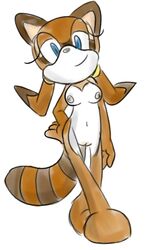 alternate_breast_size breasts color female female_only fiz_(artist) fur marine_the_raccoon nipples nude pussy raccoon smile solo sonic_(series) standing tagme