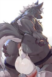 anthro anus ass balls big_balls bodily_fluids canid canine canis cum cum_inside gaping gaping_anus genital_fluids genitals grin hi_res leaking_anus leaking_cum looking_at_viewer male mammal ring scratches smile solo spread_butt spreading wolf zex