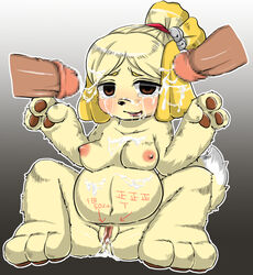 akatsuki_shion_(artist) animal_crossing anthro body_writing breasts canine cum dick dog facial_cum female fur isabelle_(animal_crossing) male mammal nintendo nipples pregnant pussy straight tagme year_request