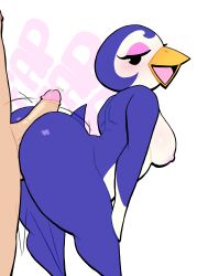 1boy 1girls animal_crossing anthro ass balls big_ass breasts bubble_butt buttjob fat_ass female gwen_(animal_crossing) hot_dogging huge_ass human large_ass looking_back lovetopullmicke male nipples nude nude_female nude_male penguin penis side_view thick_ass thick_thighs wide_hips