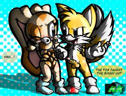 color cream_the_rabbit cub female fox fur furry interspecies konnykon male rabbit sonic_(series) tails