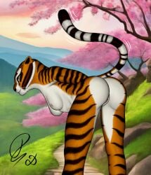 1girls anthro ass athletic bent_over big_ass breasts bubble_butt dat_ass detailed dragonczech dreamworks felid feline female furry genitals hi_res kung_fu_panda looking_at_viewer mammal master_tigress nature nude pussy small_breasts solo tail tiger universal_studios