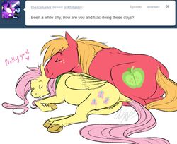 big_macintosh_(mlp) cartoonlion earth_pony equine fluttershy_(mlp) friendship_is_magic horse my_little_pony pegasus pony straight_hair