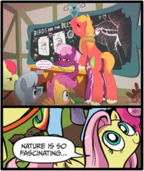 apple_bloom_(mlp) big_macintosh_(mlp) cheerilee cheerilee_(mlp) cum cum_in_pussy cum_inside cutie_mark_crusaders earth_pony equine female fluttershy_(mlp) friendship_is_magic fur horse impregnation male my_little_pony ovum pony rainbow_dash_(mlp) scootaloo_(mlp) silver_spoon_(mlp) straight straight_hair syoee_b