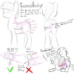 anatomy animal_genitalia animal_penis animal_pussy anus bloss blossomforth_(mlp) crotchboobs dock equine equine_pussy female friendship_is_magic male my_little_pony nipples penis pussy sex_education tail thunderlane_(mlp)