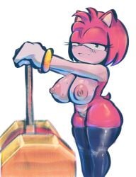 1girls amy_rose anthro bedroom_eyes big_breasts breasts edolov female female_only hammer hedgehog holding_hammer holding_object looking_at_viewer nipples nude nude_female piko_piko_hammer pink_fur pubes pubic_hair sega smile smiling smiling_at_viewer sonic_(series) sonic_the_hedgehog_(series) standing thick_ass thick_thighs thigh_highs thighhighs white_background