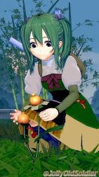 1girls bag bamboo blue_eyes boots breasts dress female female_only fire_emblem fire_emblem_fates flower grass green_hair jollyoldsoldier long_sleeves medium_hair midori_(fire_emblem) nintendo outdoors plant small_breasts smile solo squatting tiptoes twintails