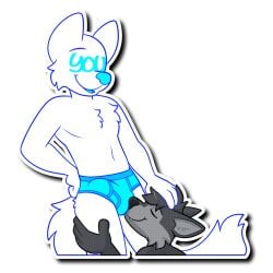 1:1 alpha_channel anthro balls blue_seam_briefs briefs bulge_nuzzling canid canine canis clothing duo erection face_in_crotch fur genitals grey_body grey_fur male mammal nowandlater penis sticker tail telegram_sticker transparent_background underwear wolf ych_(character) zach_the_wolf