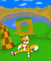 tails the fox from sonic (series) by norithics