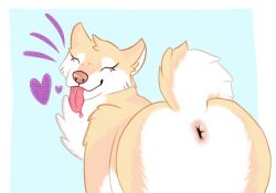 ambiguous_gender anus ass canid canine canis digital_media_(artwork) domestic_dog feral fur mammal shiba_inu simple_background solo spitz stardustspears tail tongue