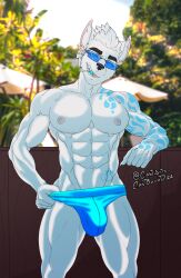 1boy anthro anthro_only barazoku big_bulge bulge canid canine canis castbound fur furry gay huge_bulge looking_at_viewer male male_focus male_nipples male_only mammal manly muscular_anthro nipples penis_outline solo solo_male speedo underwear