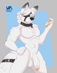 absurd_res anthro balls canid canine canis digital_drawing_(artwork) digital_media_(artwork) foreskin fur genitals hair hi_res looking_at_viewer male male/male mammal mihoyo nude penis simple_background solo tail von_lycaon whippedmint wolf zenless_zone_zero