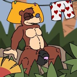 anthro avian balls banjo-kazooie banjo_(banjo-kazooie) bear bird breegull flaccid foreskin genitals kakroon kazooie laundry male mammal nude penis rareware solo