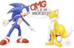 balls blue_arms blue_fur duo furry hedgehog male male_only mammal penis sonic_(series) sonic_the_hedgehog tails