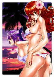 ass_cleavage ayane_(doa) beach bikini butt_crack color dead_or_alive human human_only kasumi_(doa) nekoi_mie purple_hair siblings sisters swimsuit