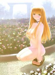 breasts choker dead_or_alive ebina_souichi female female_only garden gold_eyes human human_only kasumi_(doa) looking_at_viewer nipples nude orange_hair outdoors sandals solo yellow_eyes zenra