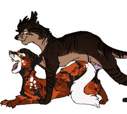 feral feral_on_feral mapleshade_(warriors) tagme tigerstar_(warriors) warriors_(cats)