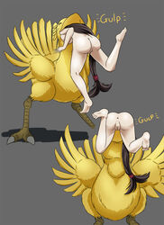 anus artist_request avian beak bird breasts bulge chocobo feathers female feral final_fantasy final_fantasy_vii human mammal open_mouth oral_vore pussy tailfeathers tifa_lockhart video_games vore wings