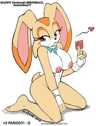 cream the rabbit from sonic (series) by vkyrie