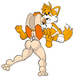 anthro ass balls barefoot canine color cub cub_and_adult fellatio female fox fur furry interspecies male mammal oral penis rabbit shostyle sonic_(series) sonic_advance_2 sonic_the_hedgehog_(series) straight tail tails vanilla_the_rabbit