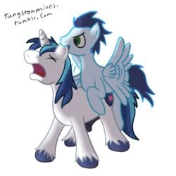 equine friendship_is_magic male male_only my_little_pony pegasus shining_armor shining_armor_(mlp) soarin_(mlp) tungstenmines unicorn wonderbolts_(mlp) yaoi