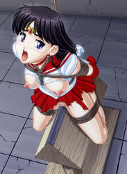 1girls apple_pie_(artist) bishoujo_senshi_sailor_moon bondage breasts censored clothing female female_only nipples pussy pussy_juice rei_hino rope_bondage sailor_mars skirt small_breasts tagme tears torn_clothes torture wooden_horse