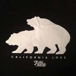 ambiguous_gender bear california feral implied_sex mammal silhouette what