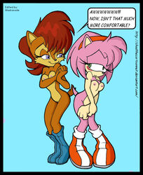 amy rose from sonic (series) by ccn