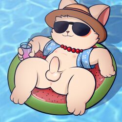 furry hi_res ishitaka_uwu league_of_legends male male/male pool_party riot_games solo teemo teemo_(lol) yordle