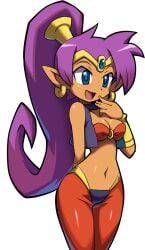 big_breasts official_art purple_hair shantae shantae_(character) shantae_and_the_pirate's_curse smirking