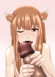 holo from spice and wolf by section-11